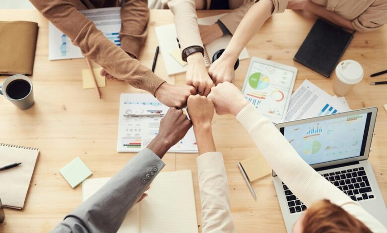 organizational growth strategies overview