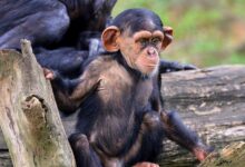 heartbreak and new beginnings