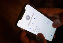 hotline numbers for assistance