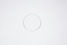 rice purity test official