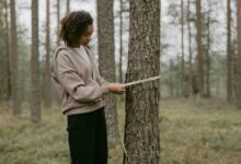 toji s height inquiry requested