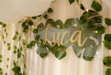 unusual anatomical reference humor