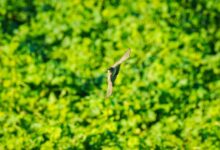 optimize your systems efficiently