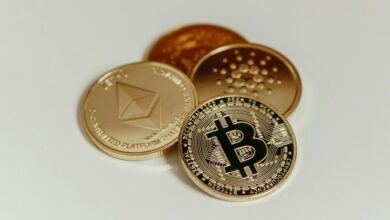 adrian crypto platform review