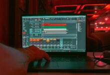 best bass top music picks