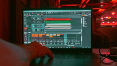 best bass top music picks