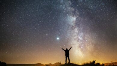 better this cosmos post better this world meaning insights