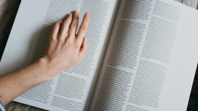 blueflame publishing content insights