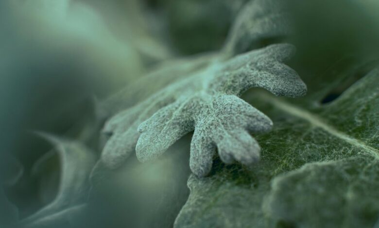 how to pronounce laturedrianeuro correctly