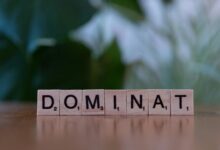 introverted lone wolf personality description