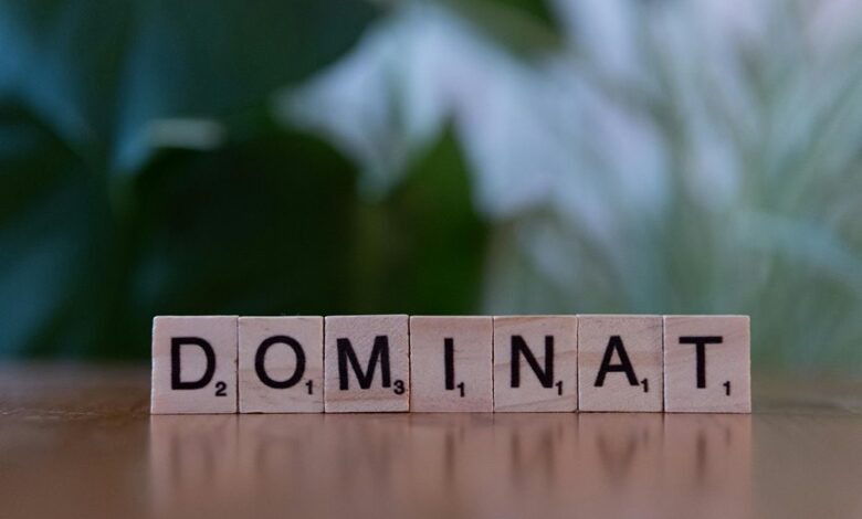 introverted lone wolf personality description