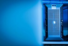 local server access guide details