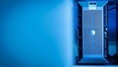 local server access guide details