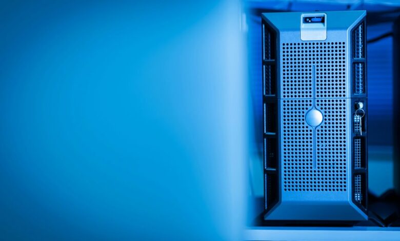 local server access guide details