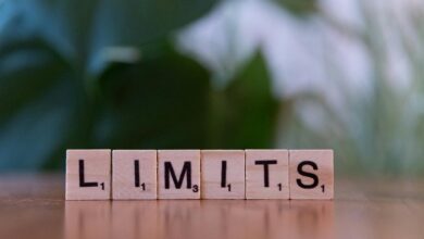 old version features and limitations