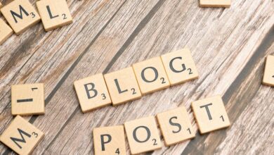 team saxton thestripesblog overview content